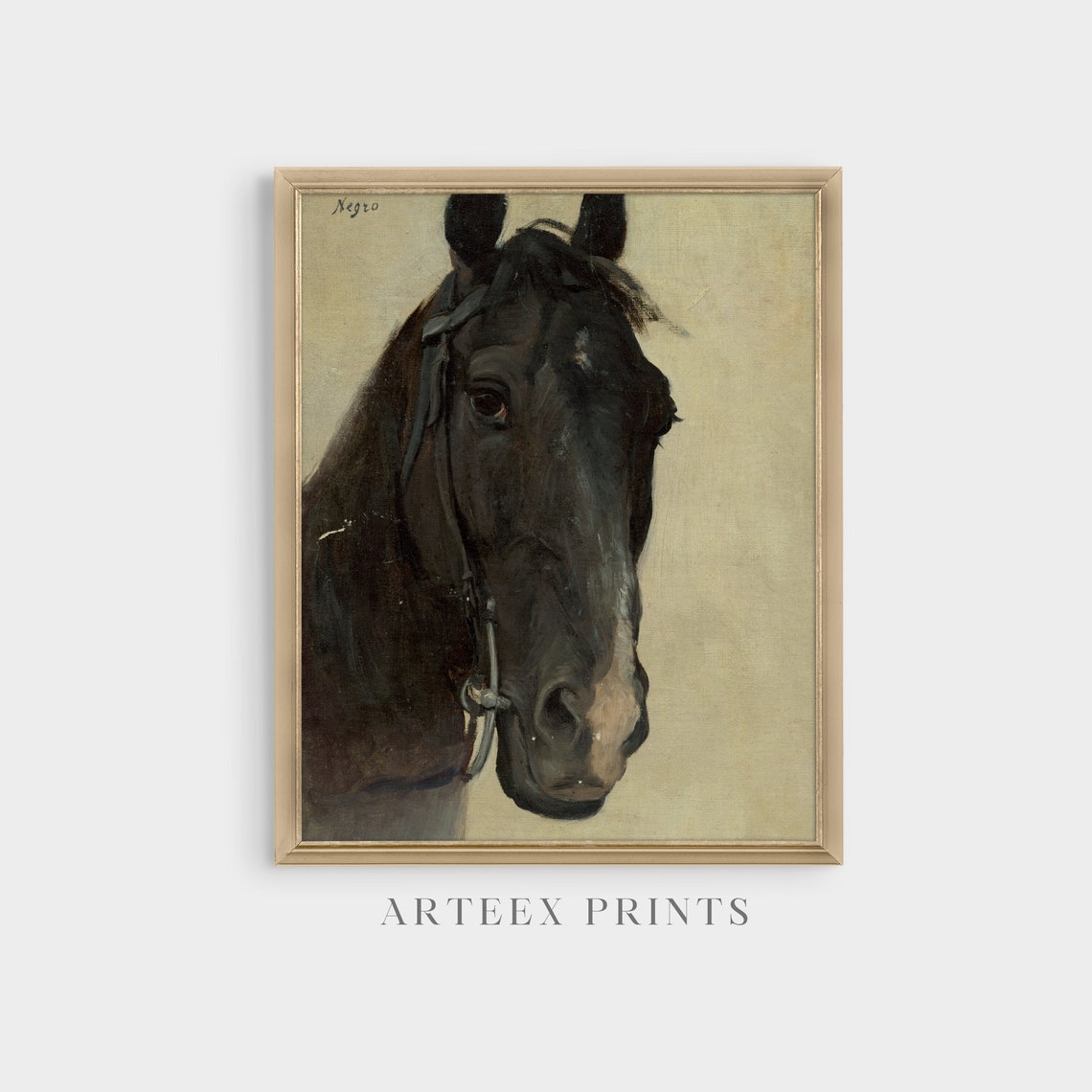 Black Horse Head Study Vintage Equine Portrait Signed Negro Poster - Image 3