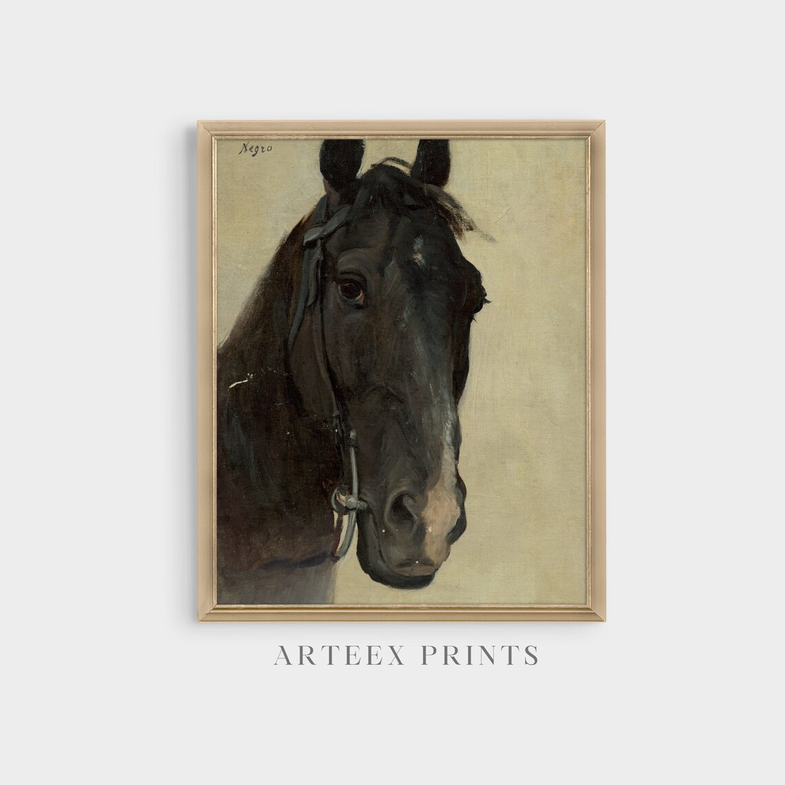 Negro Black Horse Head Portrait Antique Equestrian Oil Painting Poster - Image 5