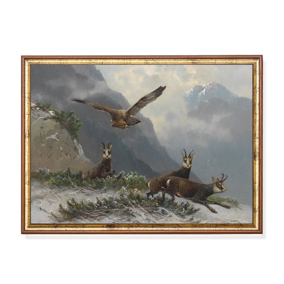 Printed And Shipped Vintage Wall Art Chamois In The High Mountains Animals Painting Antique Art Print Animal Lover Gift Fine Art
