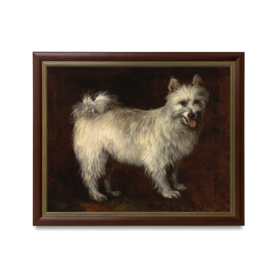 White Terrier Dog Standing Against a Dark Brown Background Poster - Image 3