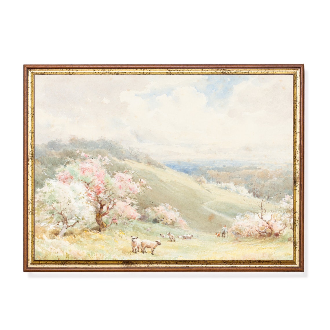 Sheep Grazing Blossom Orchard Spring Pastoral Watercolor Poster