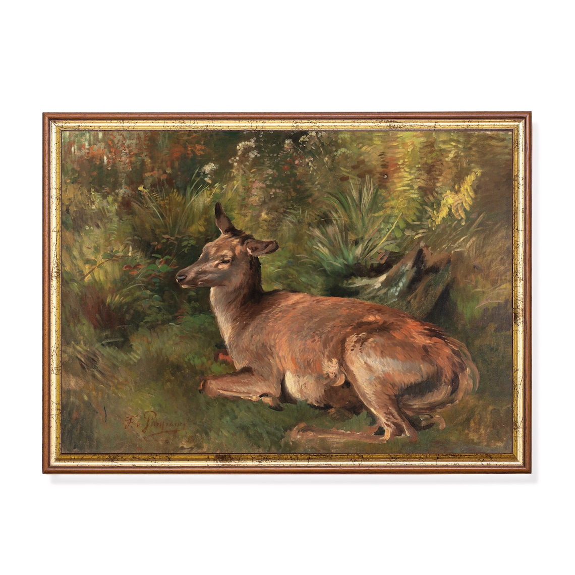 Resting Deer In Woodland Clearing Vintage Wildlife Painting Poster