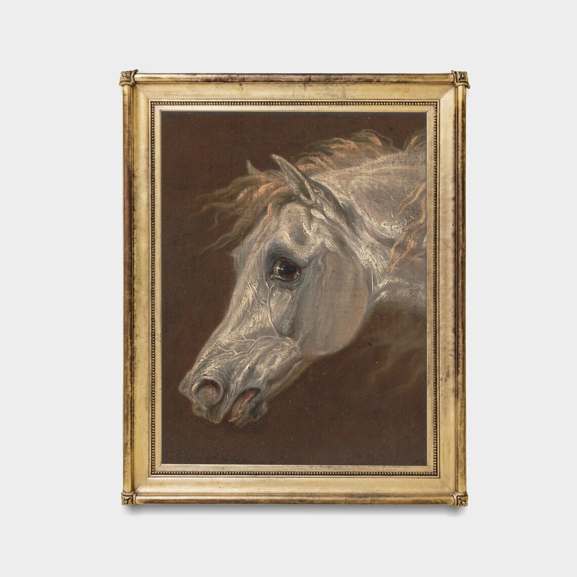 Dramatic Vintage Study of a White Horse Head on a Dark Brown Poster - Image 4