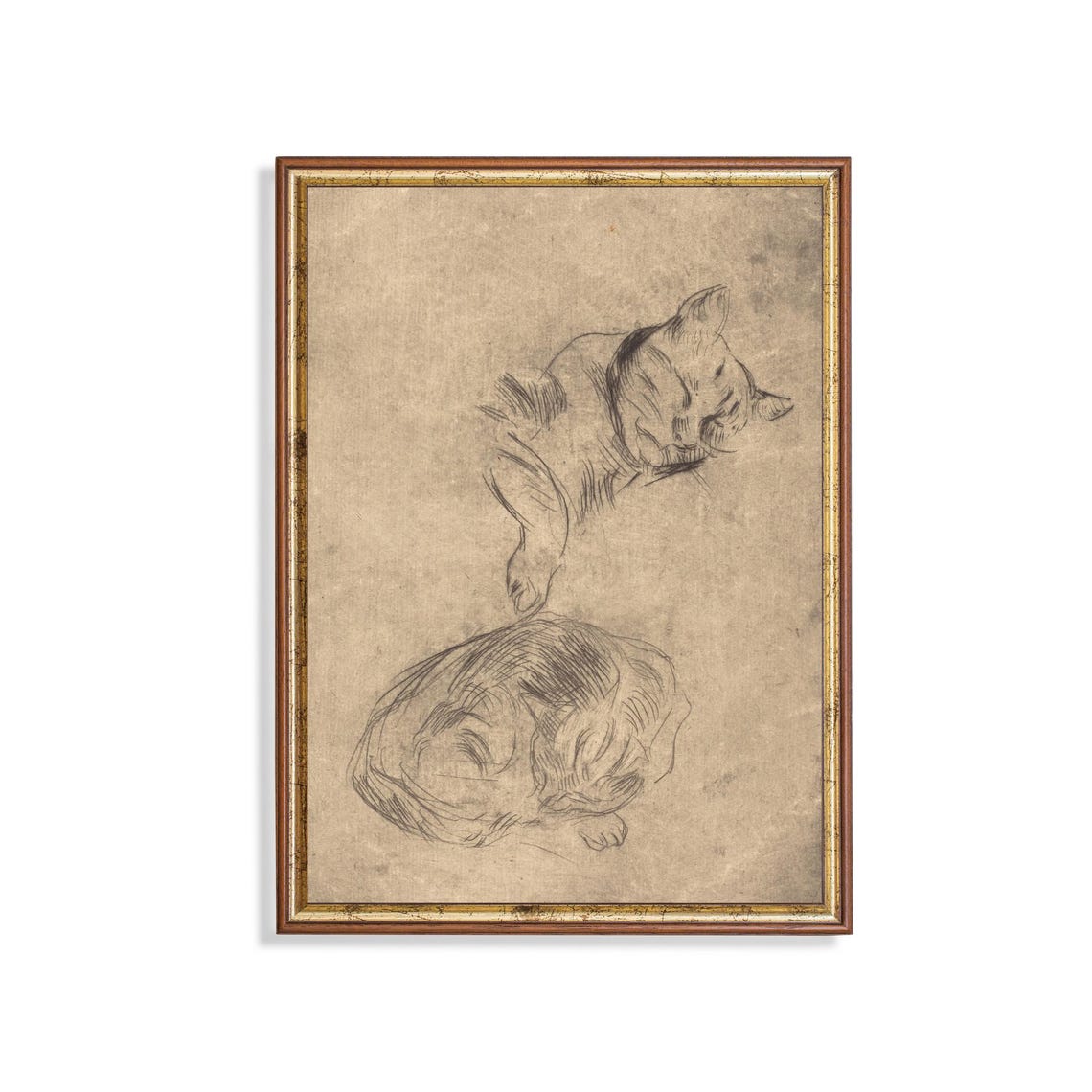 Sleeping Cats Pencil Sketch Study Vintage Nursery Art Poster
