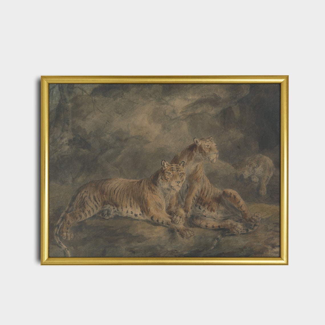 Two Tigers Resting Together on Rocks in a Dark Forest Poster - Image 2