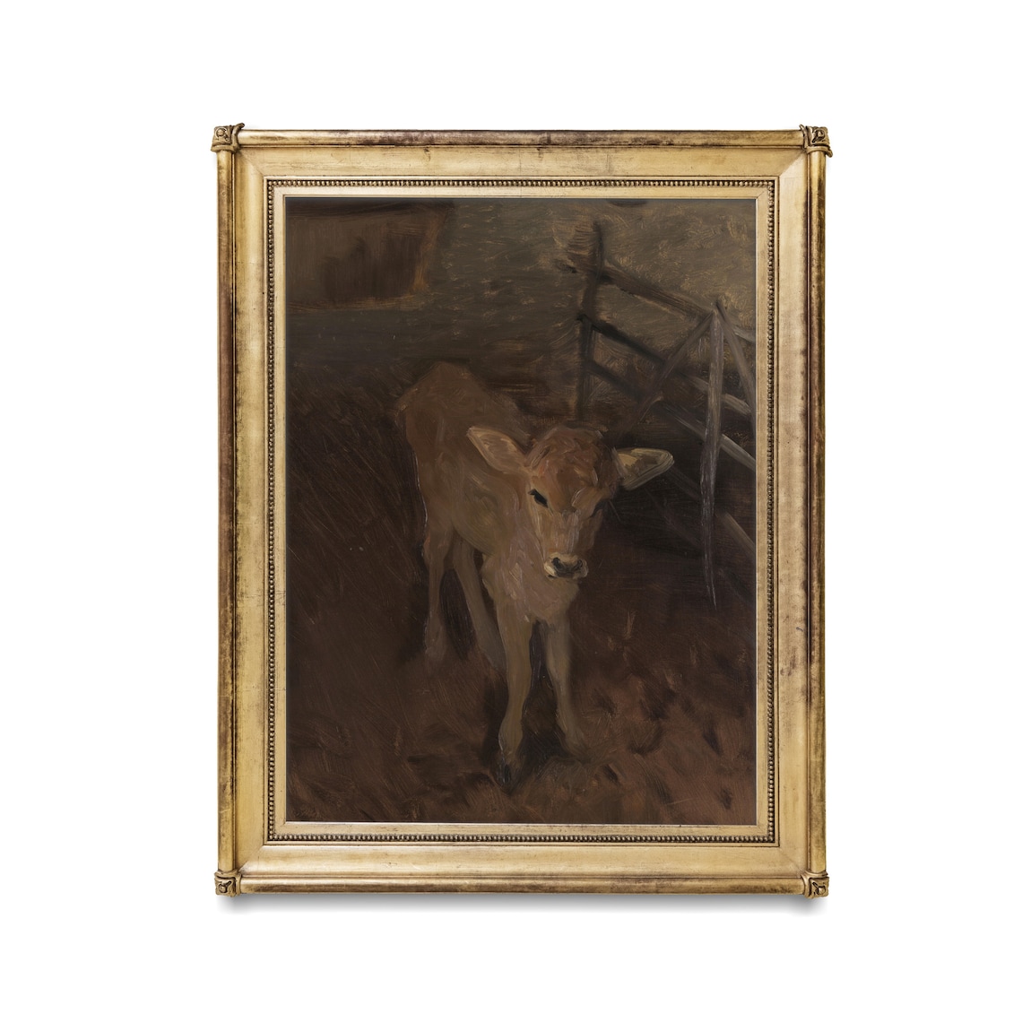 Young Calf Standing in a Dark Rustic Barn Vintage Farm Poster - Image 3
