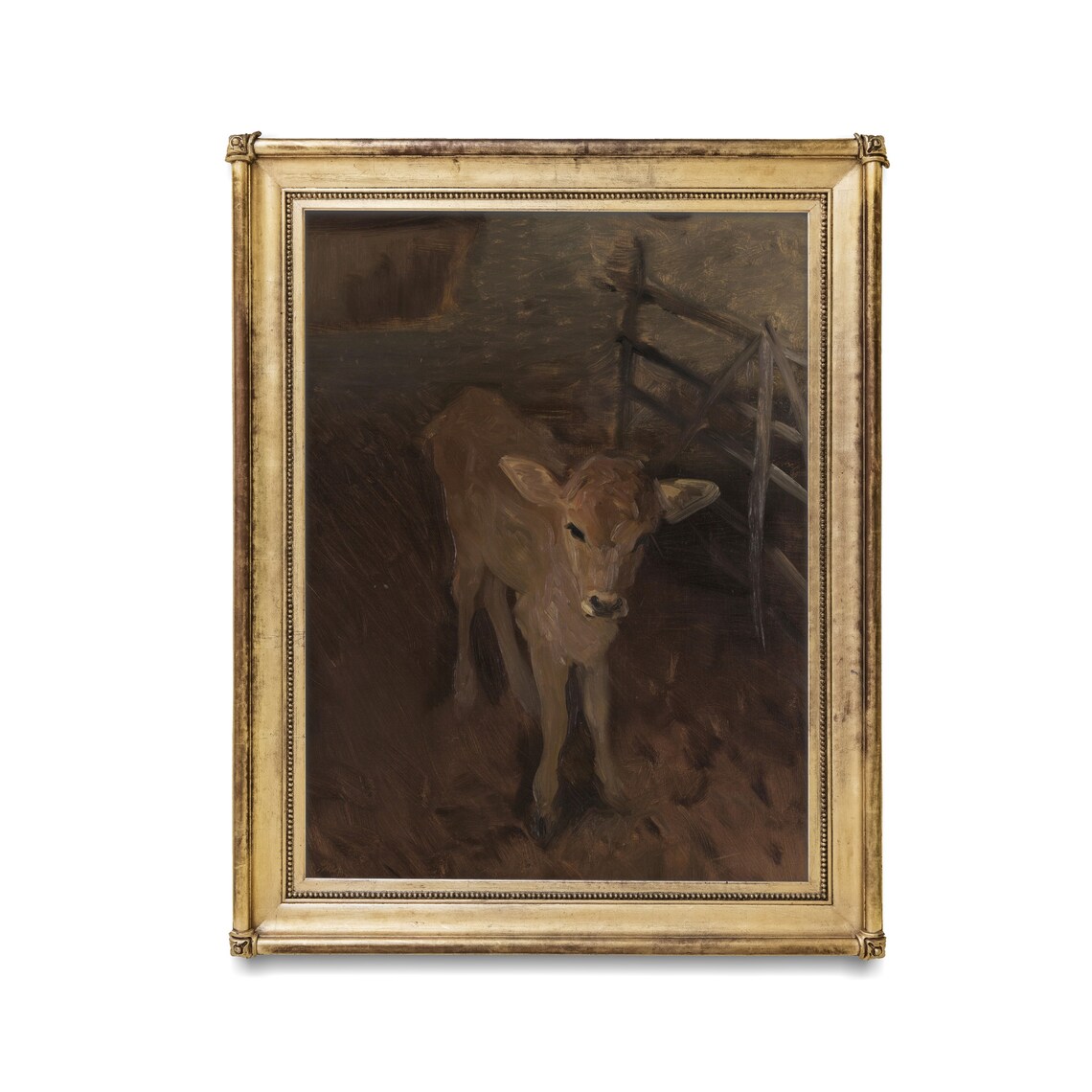 Young Calf Standing In Dark Barn Moody Vintage Farm Art Poster - Image 3