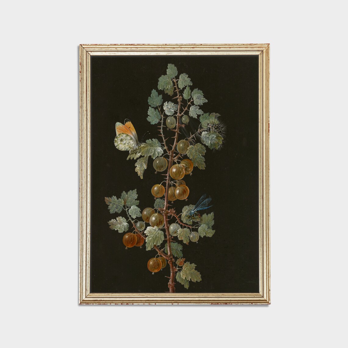 Gooseberry Branch With a Butterfly Botanical Still Life Art Print - Image 2