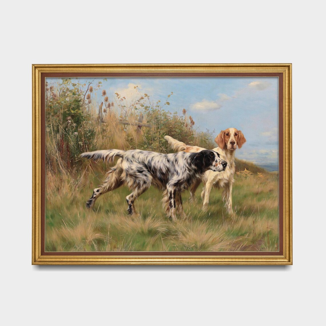 Two English Setters Holding Point in a Tall Grassy Field Poster - Image 5