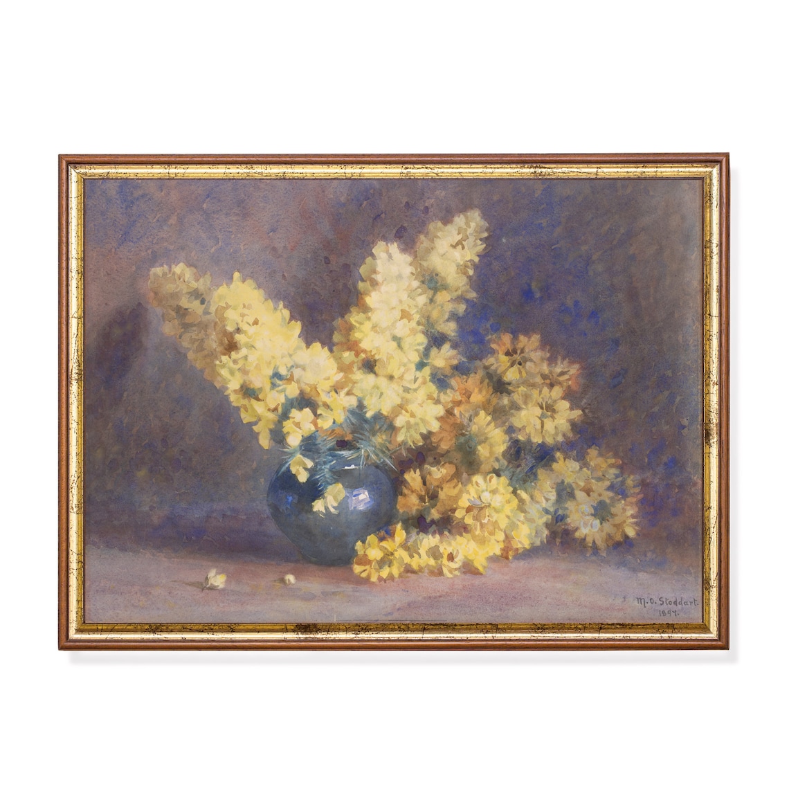 Golden Yellow Blossoms in a Blue Vase Floral Still Life Poster