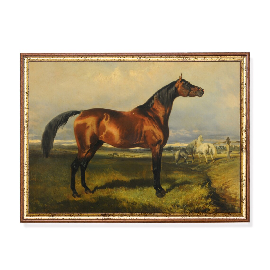 Bay Horse Standing Proud in a Sunny Green Pasture Vintage Poster