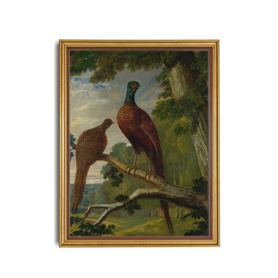 Pair of Pheasants Perched on a Tree Branch Vintage Game Bird Poster - Image 3