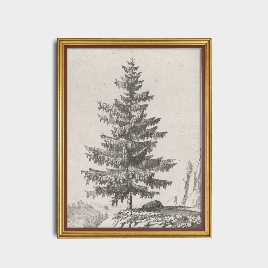 Solitary Fir Tree on a Rocky Hill Vintage Botanical Sketch Poster - Image 4