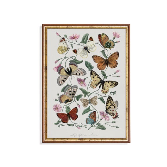 Vintage Butterfly Print Botanical Wall Art Nature Inspired Decor Antique Entomology Illustration Victorian Style Home Decor