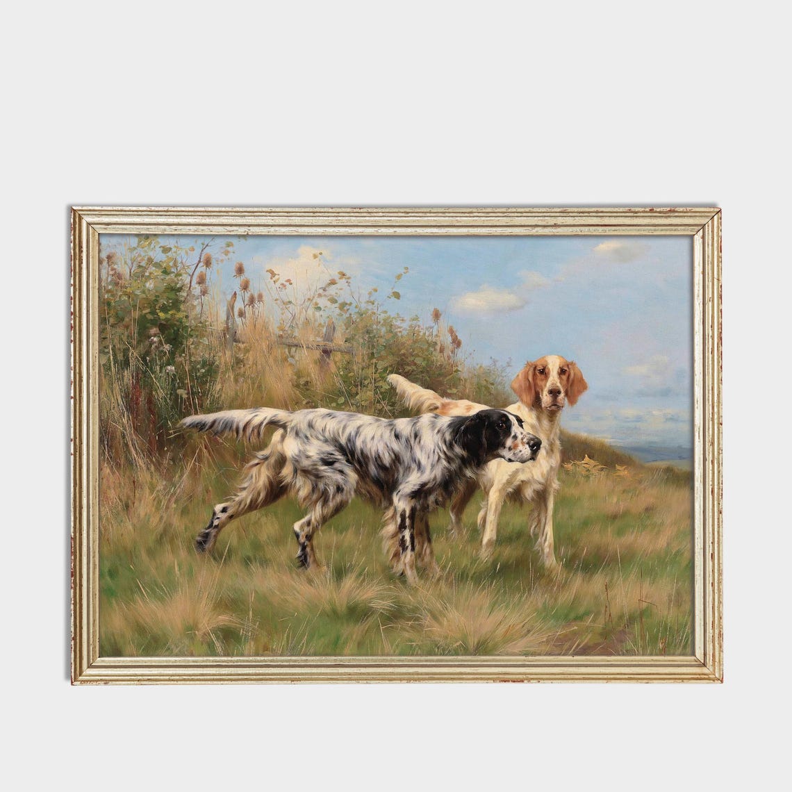 Two English Setters Holding Point in a Tall Grassy Field Poster - Image 3