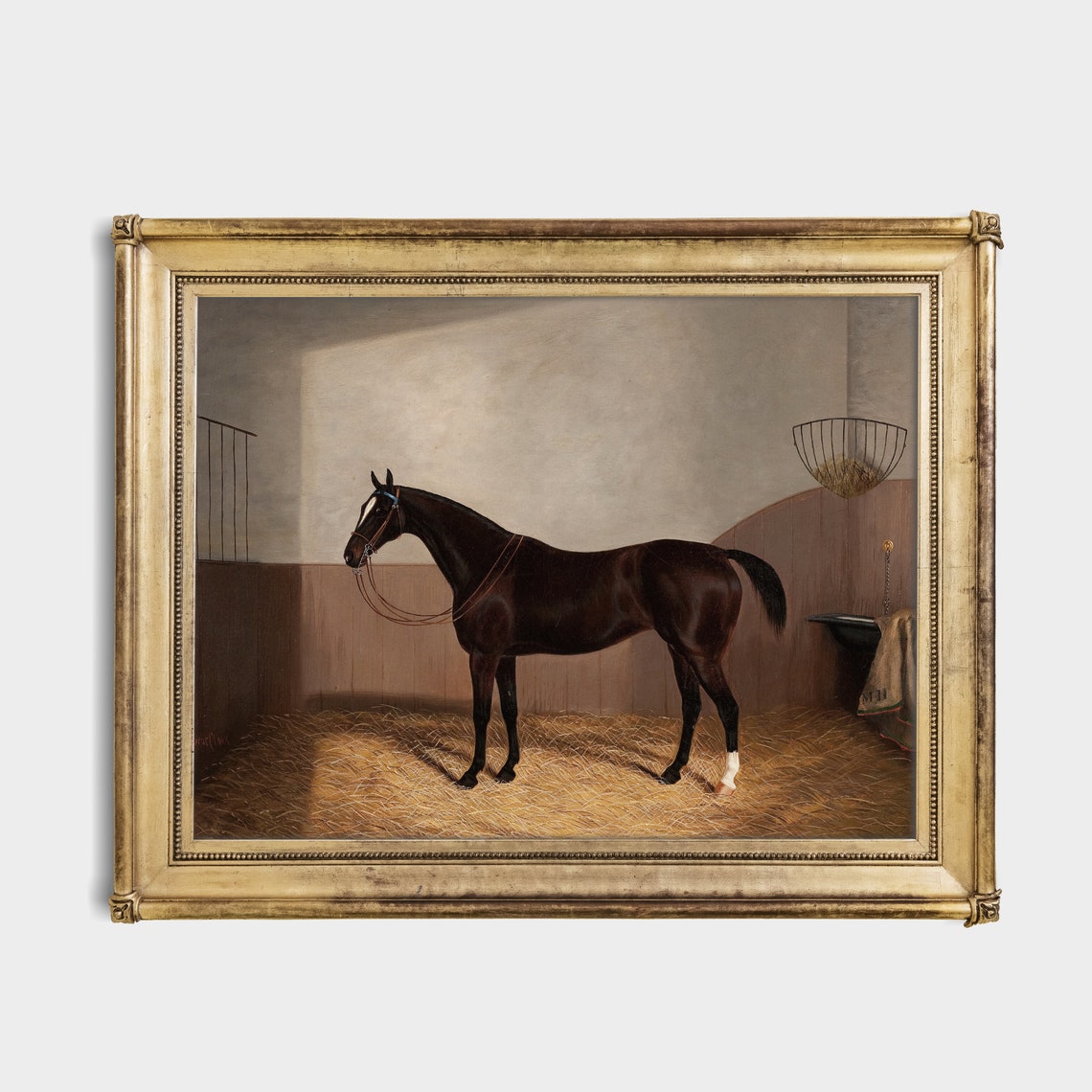 Dark Bay Horse Resting in a Straw-Filled Stable Box Painting Poster - Image 2