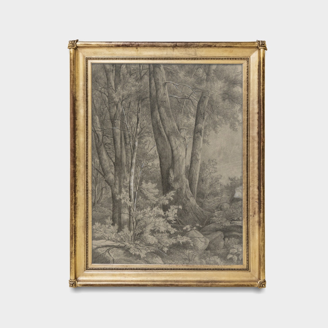 Towering Forest Trees Vintage Pencil Sketch Drawing Nature Print - Image 3