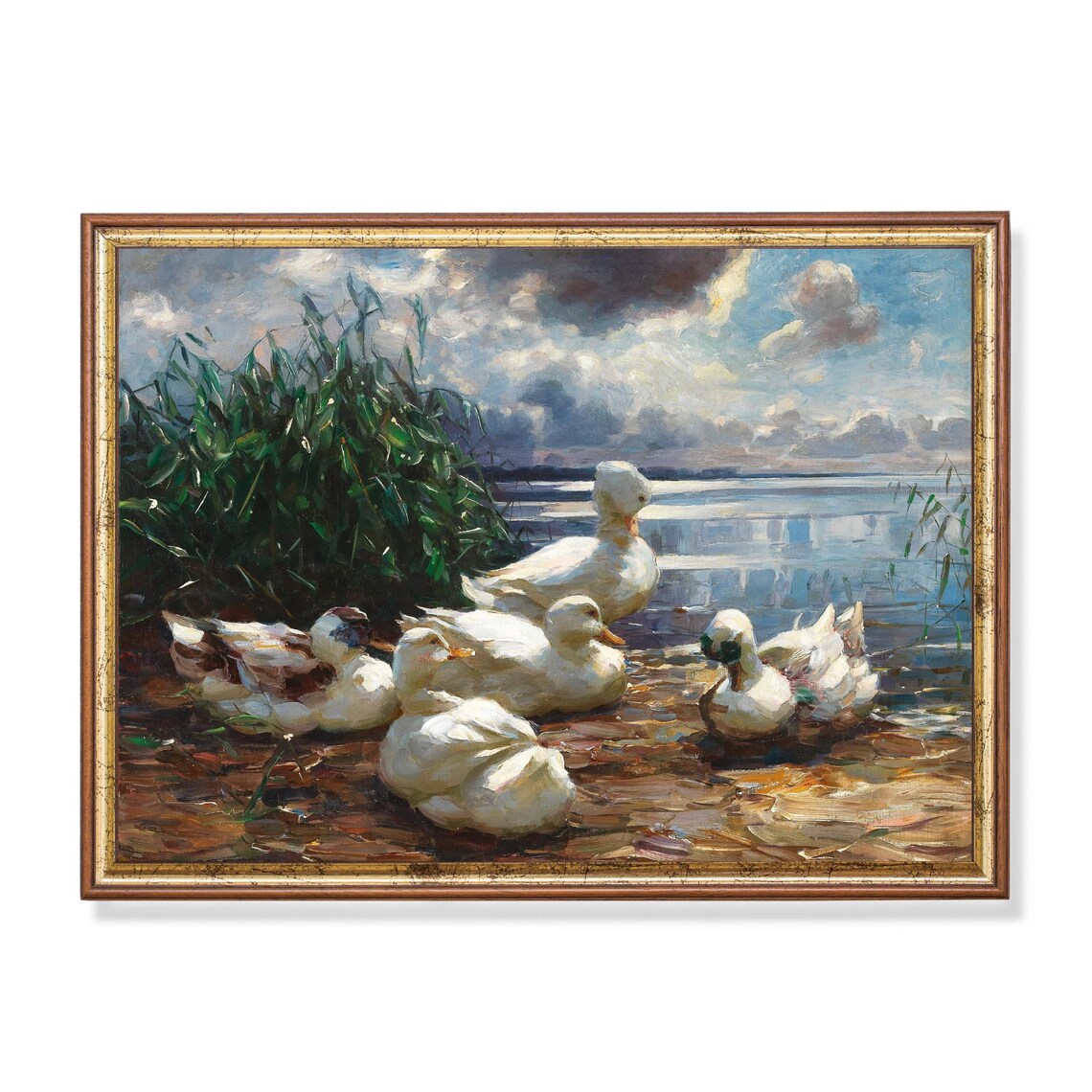 A Flock of White Ducks at the Water's Edge Vintage Bird Poster