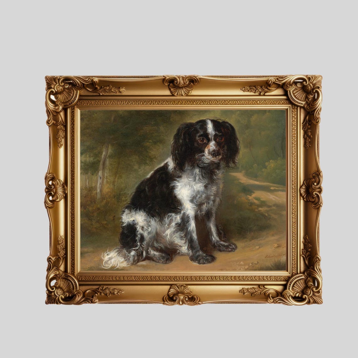 Black and White Spaniel Sitting on a Woodland Path Portrait Poster - Image 4