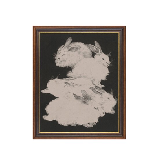 Snowy White Rabbits Huddled Together on a Black Background Poster