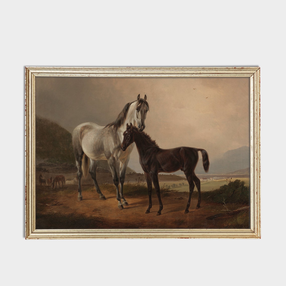 Grey Mare Standing Protectively Beside Her Black Foal Poster - Image 2