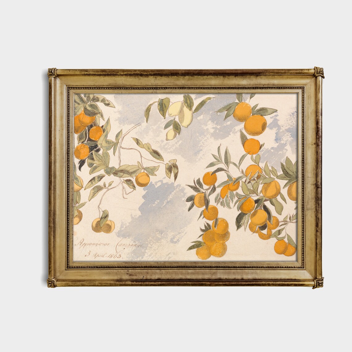 Orange and Lemon Branches Botanical Watercolor Dated 1863 Poster - Image 4