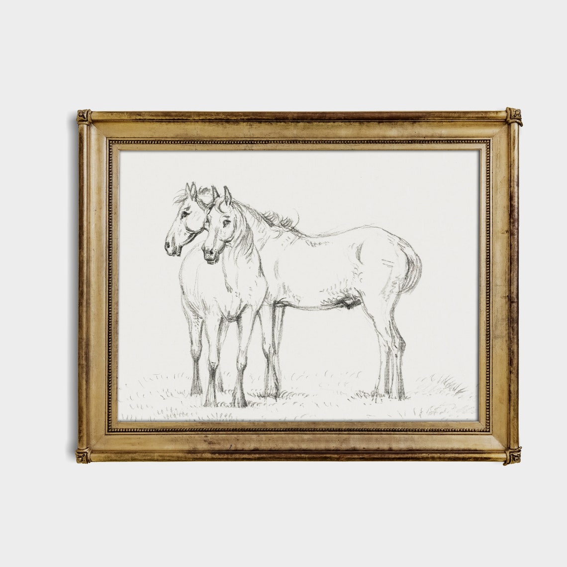 Two Horses Standing Together Antique Pencil Sketch Drawing Poster - Image 2