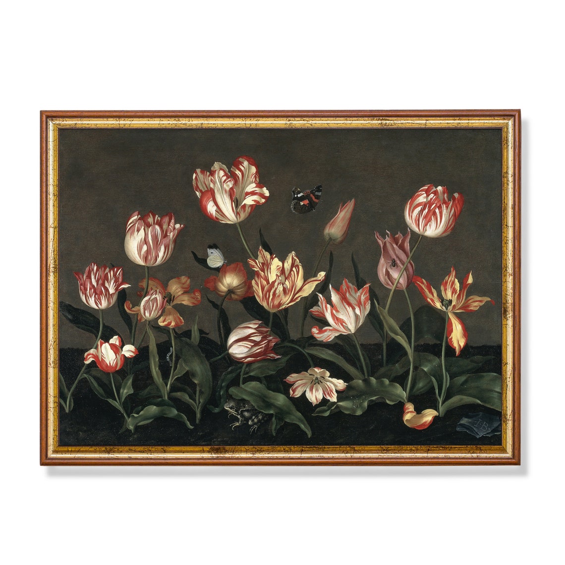 Parrot Tulips With Butterflies Dutch Floral Still Life Painting Poster