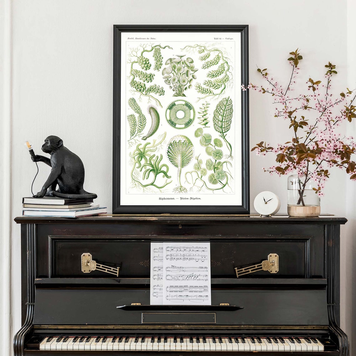 Ernst Haeckel Caulerpa Green Algae Plate 64 Seaweed Art Poster - Image 3