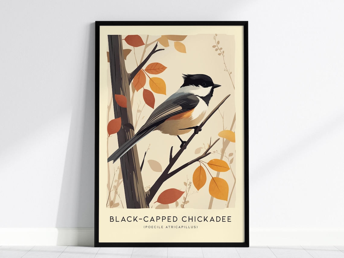 Blackcapped Chickadee Modern Birdwatcher Art Print