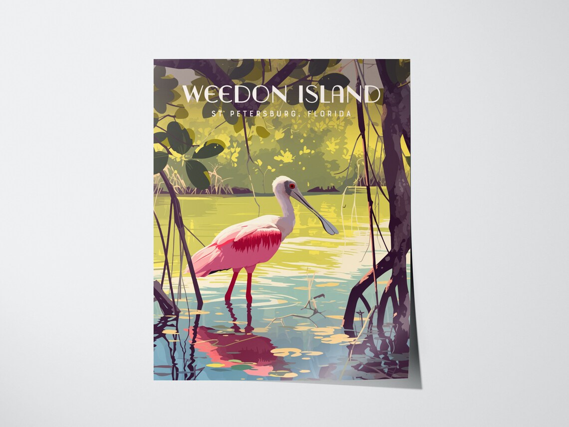 Roseate Spoonbill Print, Weedon Island Preserve