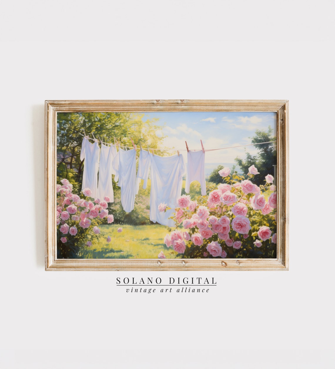 White Laundry Line In Blooming Pink Rose Garden Vintage Poster