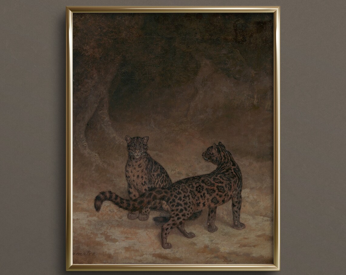 Panther Cave Dark Academia Art Print, Big Cat
