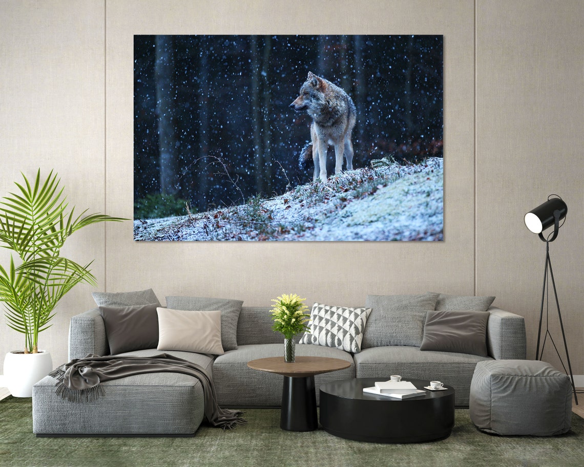 Gray Wolf Standing In Snowy Forest At Nightfall Wildlife Poster - Image 7