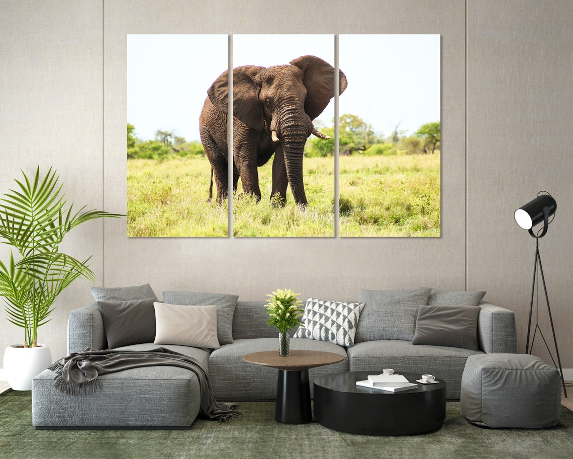 African Elephant Walking Grassland Savanna Wildlife Photography Poster - Image 6