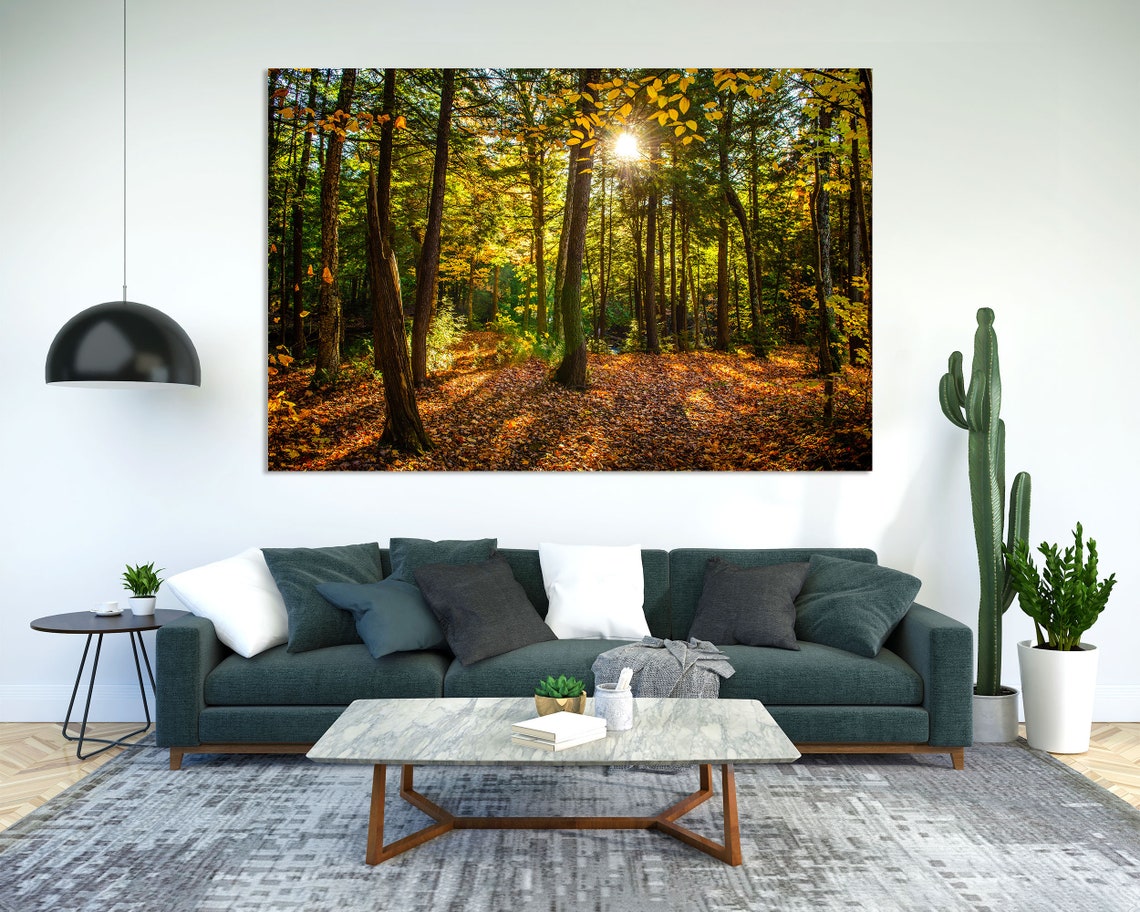 Sunlit Autumn Forest with Golden Leaves Carpet Woodland View Poster - Image 2
