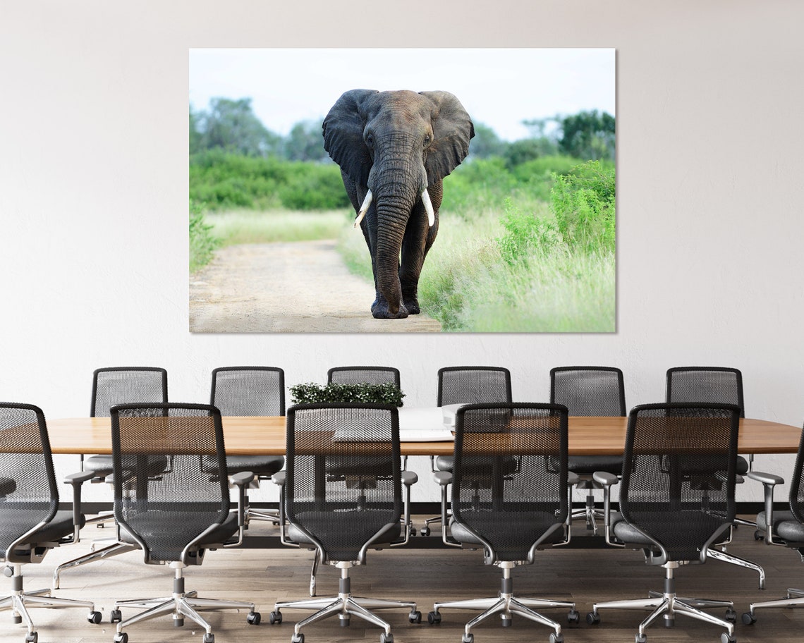 African Elephant Walking Savannah Path Majestic Wildlife Poster - Image 4