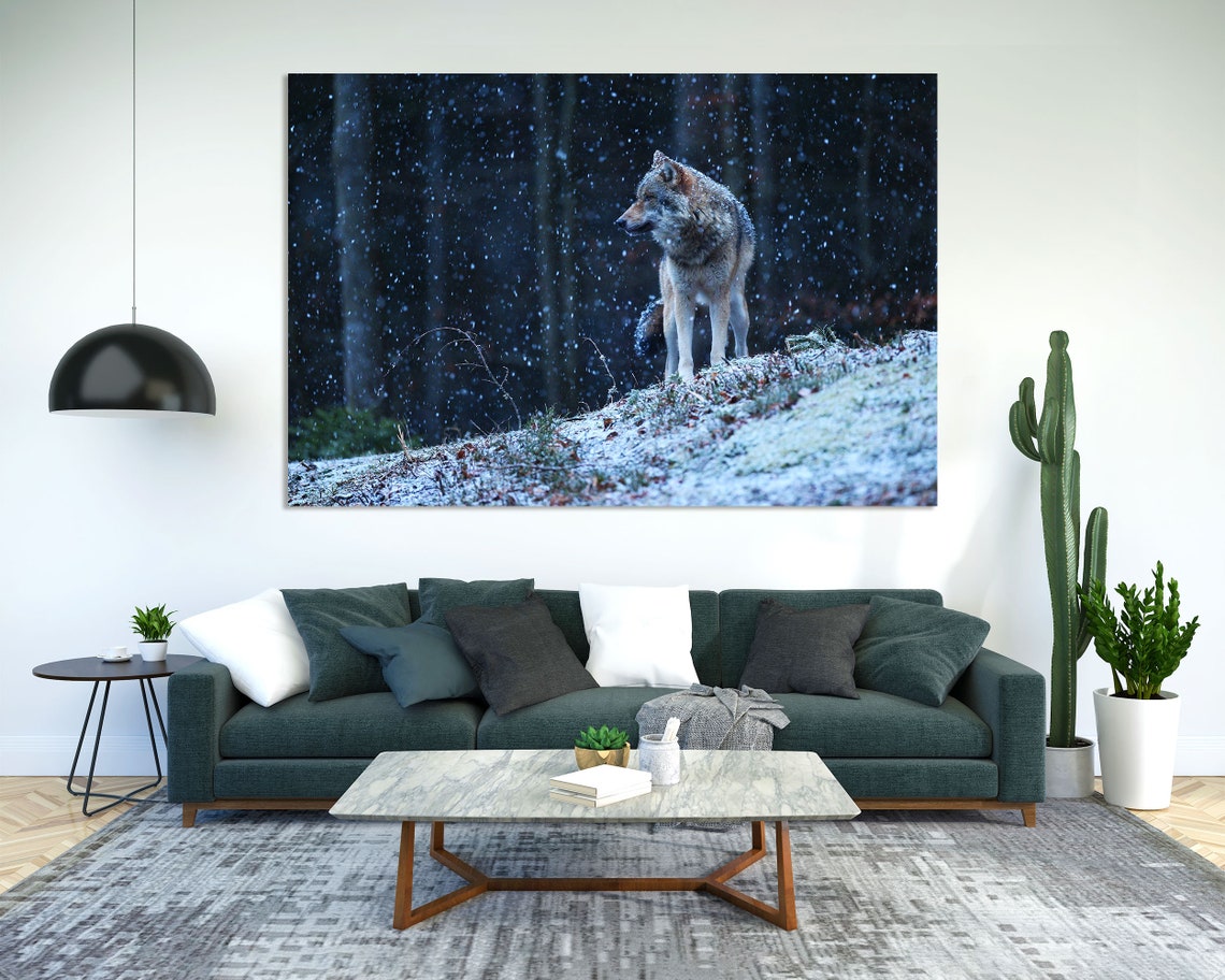 Gray Wolf Standing In Snowy Forest At Nightfall Wildlife Poster - Image 6