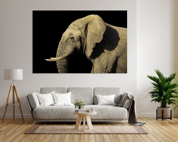 Elephant Portrait Dark Background Dramatic Wildlife Safari Wall Decor Poster