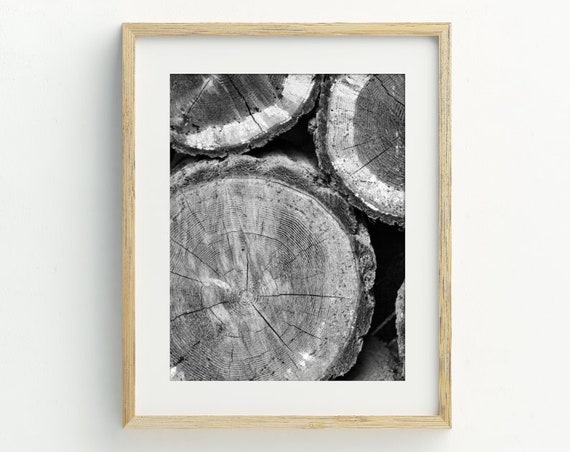 Tree Rings Photography Wall Art Wood Slice Art Print Tree Stump Print Modern Farmhouse Art 5x7 8x10 11x14