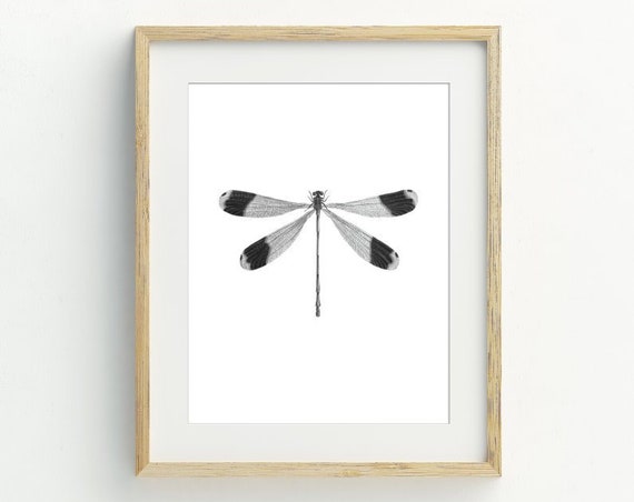 Dragonfly Monochrome Minimalist Art Print, Black