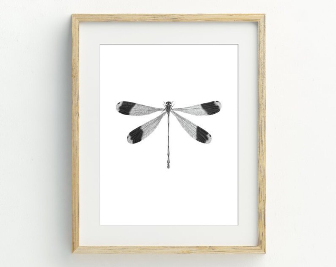 Dragonfly Monochrome Minimalist Art Print, Black