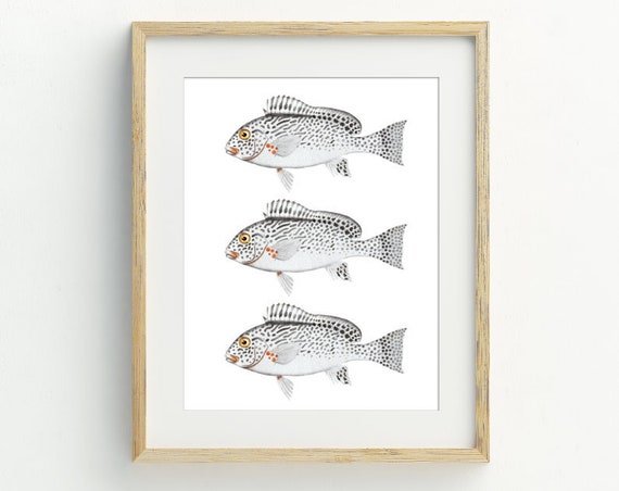 Fish Coastal Decor, Nautical Beach Art Print