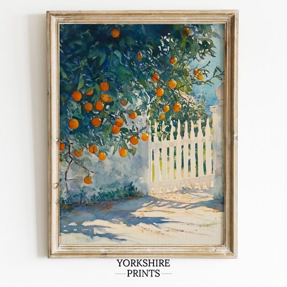 Orange Tree Vintage Watercolor Painting Art Spanish Kitchen Decor Orange Tree Wall Art Kitchen Artwork