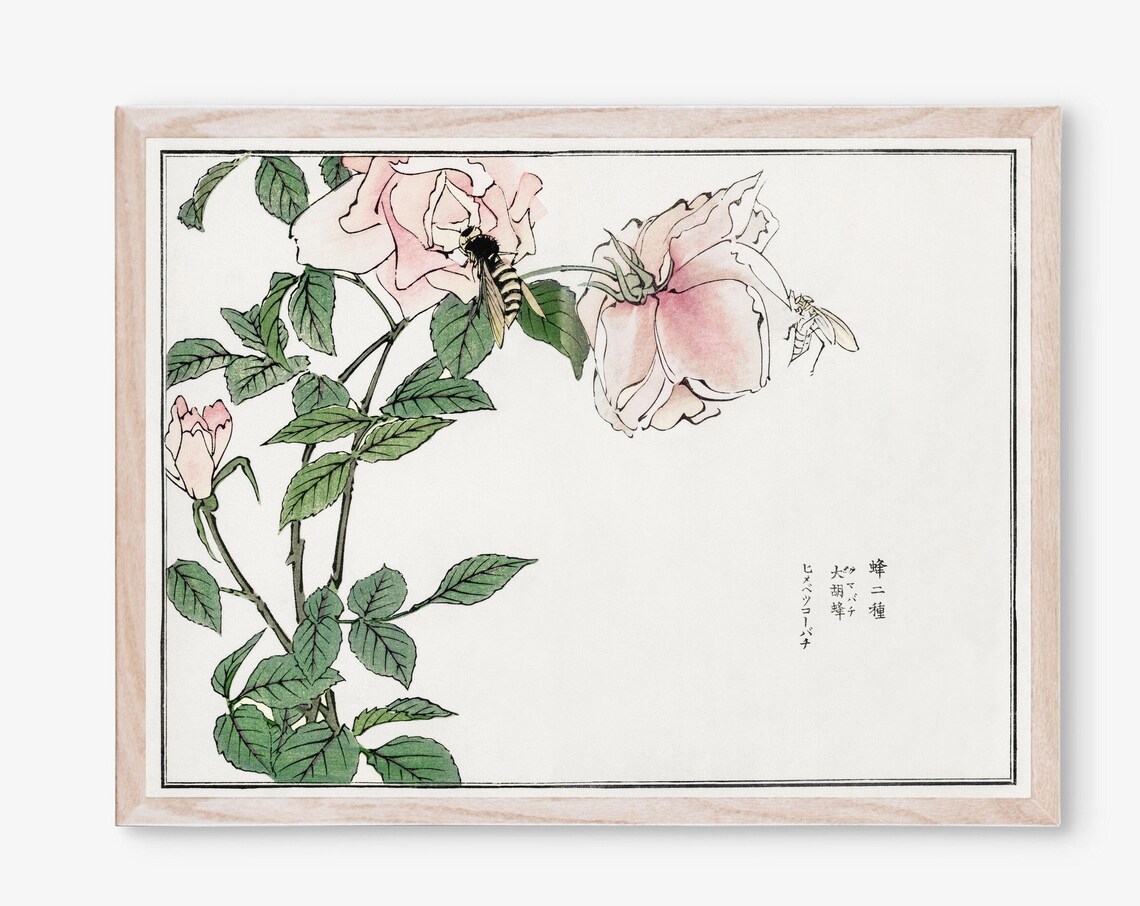 Morimoto Toko Bee On Pink Rose Bloom Vintage Japanese Botanical Print