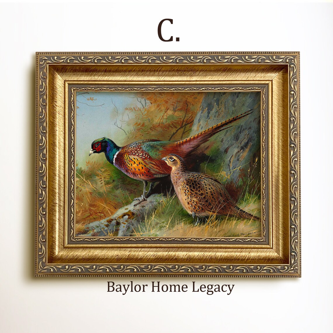Ring-Neck Pheasants Vintage Landscape Art Print - Image 3
