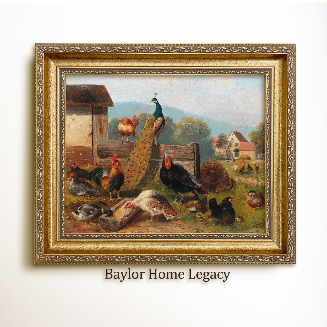 Peacock Chickens Duck Turkey Barnyard Vintage Poultry Painting Poster