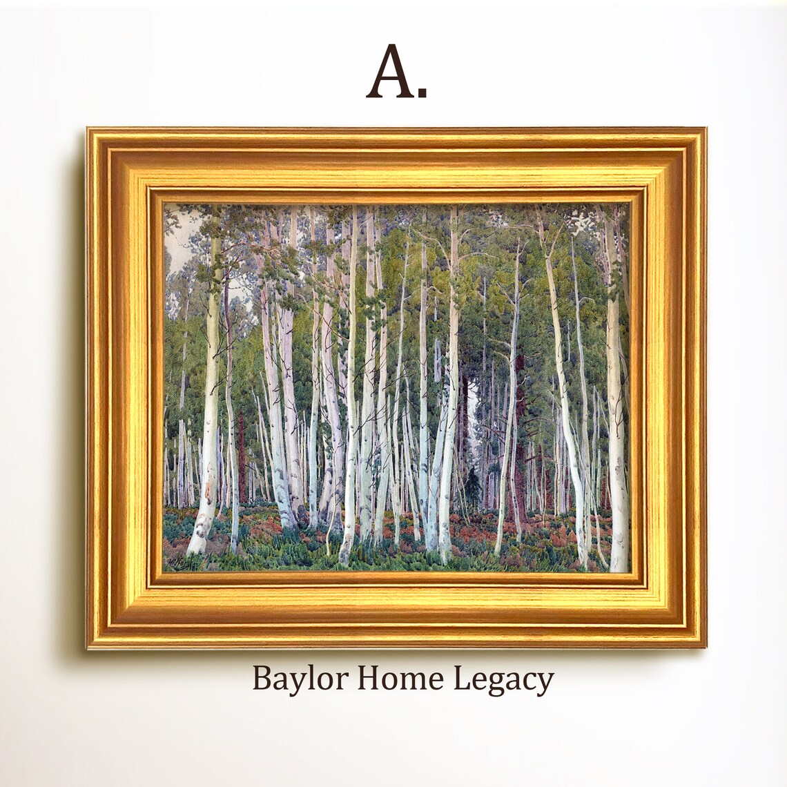 Tall White Aspen Trees Forest Watercolor Woodland Nature Scene Poster - Image 5