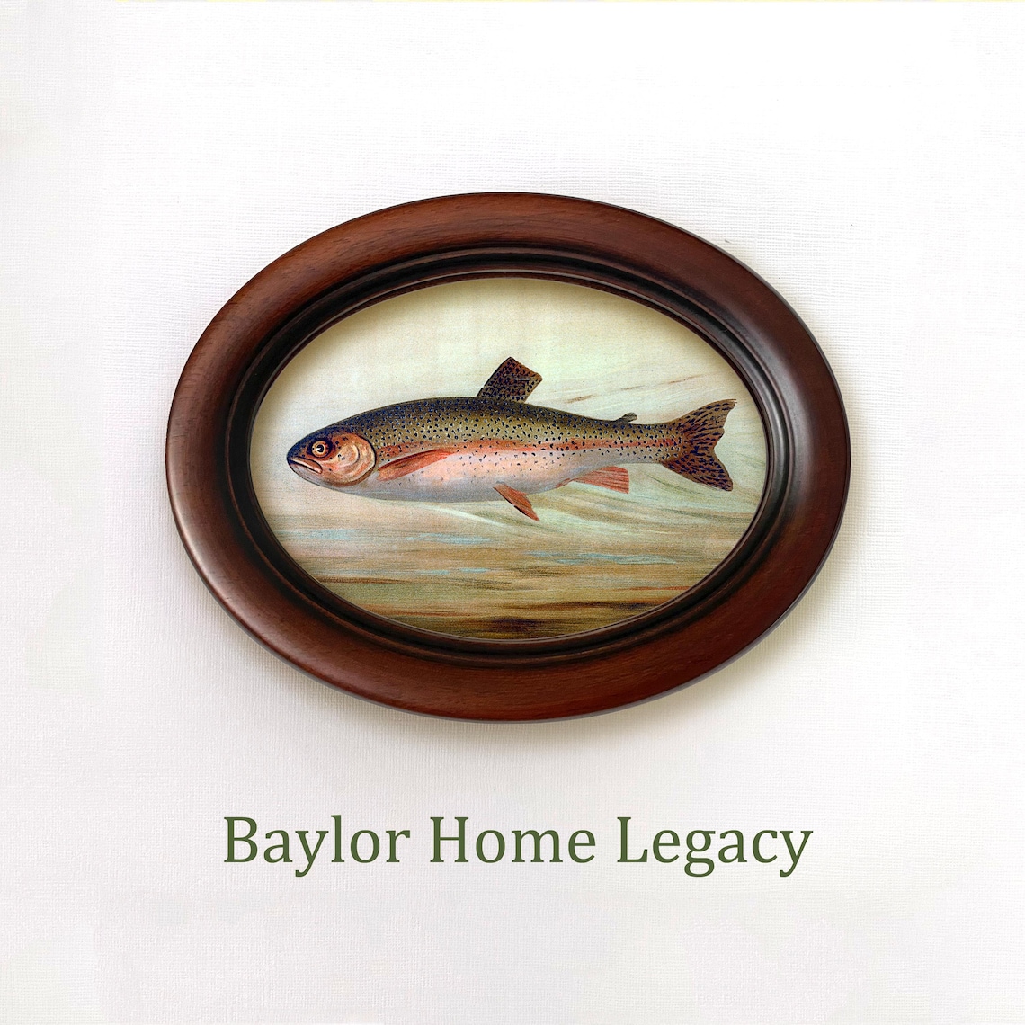 Rainbow Trout Antique Lithograph, Oval Fish Art Print