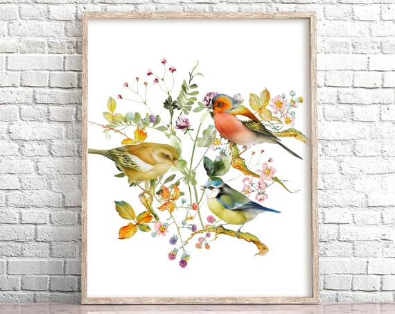 Spring Songbirds Chaffinch And Blue Tit Floral Watercolor Poster